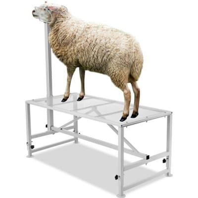 VEVOR Veeverzorgingsstand, 1195 x 584 mm Veestal, Metalen Veemelk- en Scheerstal, Verstelbare Hoogte 533 tot 838 mm, met Hoofdstel en Neusriem, Draagvermogen 227 kg, Wit