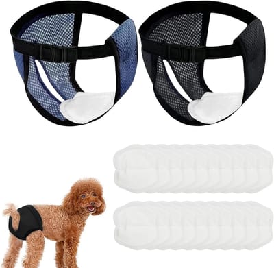 Herbruikbare Onderbroeken voor Teefjes - XL Maat, 20 Inleggers, Zwart en Blauw, Ideaal voor Zindelijkheidstraining en Comfort