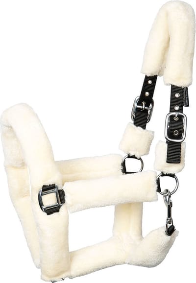 Harry's Horse Halster Teddy Pony
