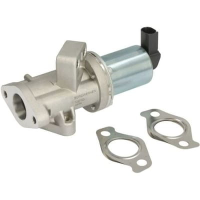 EGR-klep BORG WARNER WA729019D