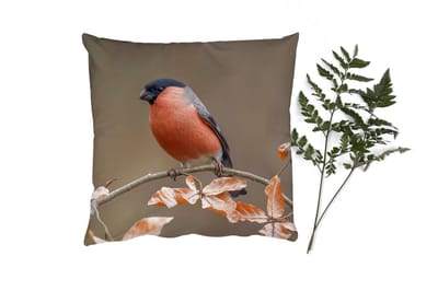 Sierkussens - Kussentjes Woonkamer - 40x40 cm - Vogel - Bladeren - Herfst - Goudvink -