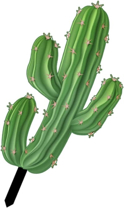 Cactus Paal - Tuindecoratie Buiten - Gazon Verfraaien - Acryl Materiaal - 24x10.8cm - Groen