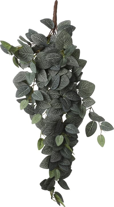 Mica Decorations - Fittonia Kunst Hangplant - L15 x B20 x H54 cm - Groen