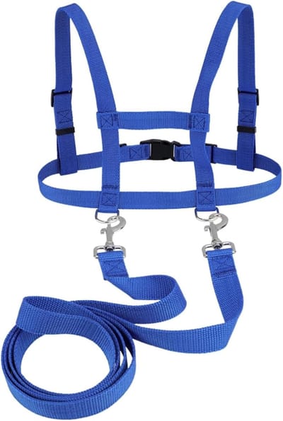 Hondentuig voor Kinderen, Blauw, Unisex, 200 cm x 80 cm x 28 cm, Nylon, Stimuleert Creativiteit, Sociale Vaardigheden en Fysieke Activiteit tijdens Rollenspel