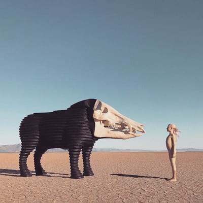 Man Man - Dream Hunting In The Valley Of The In-Between (2 LP) (Coloured Vinyl) (Limited Edition)