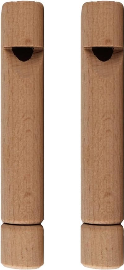 Houten Schuifbare Fluit voor Muzikale Ontdekkingstocht