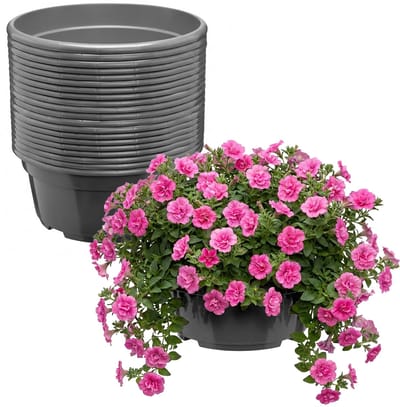 Garronda Set van 20 ronde kunststof plantenbakken met drainage (Anthraciet, Ø25 x 11,5 cm – 4,7 L) GD-KW-B-Anthracite