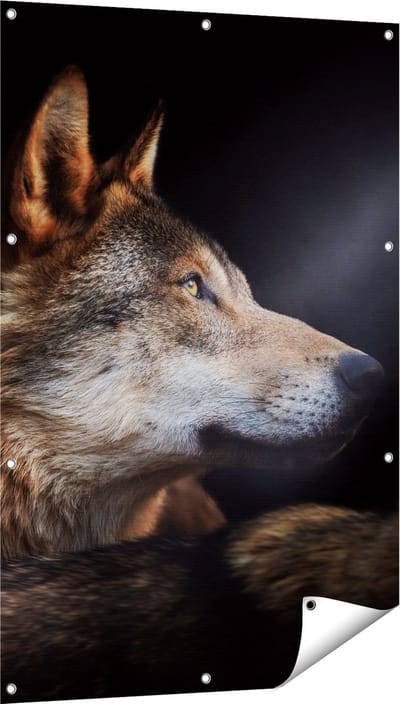 Gards Tuinposter Wolvenkop met een Zonnestraal - Wolf - 80x120 cm - Tuindoek - Tuindecoratie - Wanddecoratie buiten - Tuinschilderij