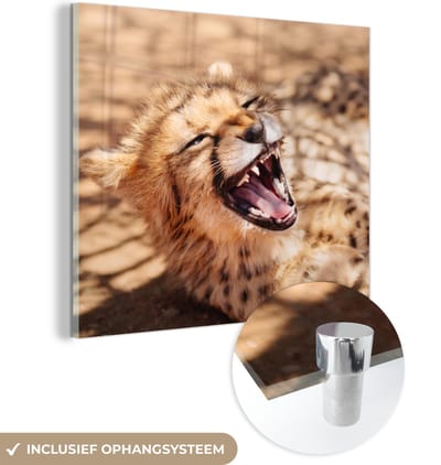 MuchoWow® Glasschilderij 50x50 cm - Schilderij acrylglas - Cheetah - Dier - Close up - Foto op glas - Schilderijen
