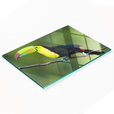 Multifunctionele decoratieve snijplank van gehard glas met toekanmotief, 80x52 cm