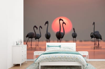 Behang - Fotobehang Vogel - Flamingo - Zonsondergang - Roze - Breedte 305 cm x hoogte 220 cm