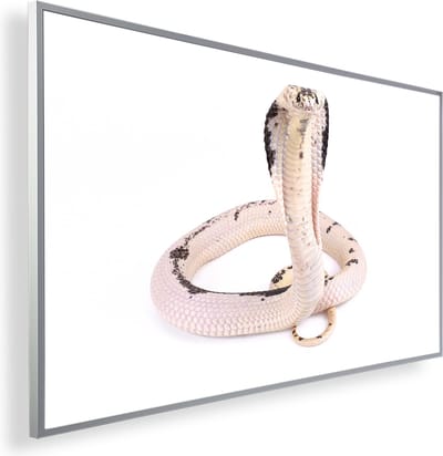 Infrarood Verwarmingspaneel 450W met fotomotief en Smart Thermostaat (5 jaar Garantie) - Cobra wit 85