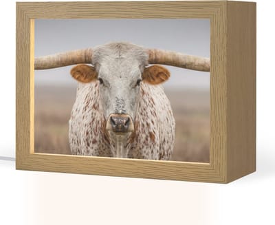 Tafellamp 20x15 cm - LED lamp - Longhorn - Grasveld - Dier - Decoratieve tafellampen - Dimbaar - Tafellampje slaapkamer - Woonkamer binnen