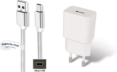 OneOne 2A lader + 1,0m sterke Mini USB kabel. Universele oplader adapter past op Texas Instruments grafische rekenmachine TI-83, TI-83 Plus, TI-84 +, TI-84 + C, TI-84 + CE, TI-84 + SE, TI-84x, TI-86, TI-89, TI-89 Titanium, TI-Nspire / CAS / CX