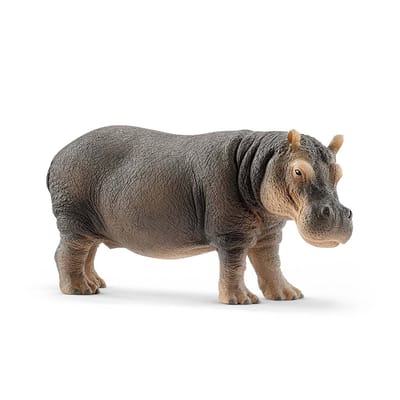 schleich WILD LIFE - Nijlpaard - Speelfiguur - Kinderspeelgoed voor Jongens en Meisjes - 14814