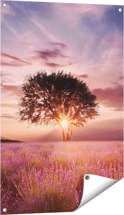 Gards Tuinposter Bloemenveld met Lavendel bij Zonsondergang - 60x90 cm - Tuindoek - Tuindecoratie - Wanddecoratie buiten - Tuinschilderij