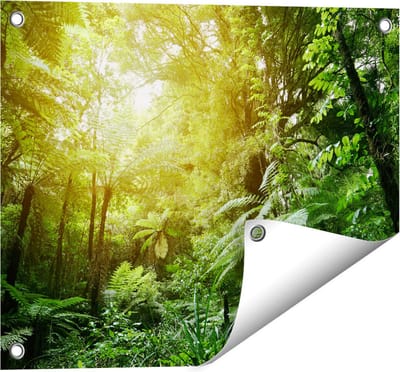 Gards Tuinposter Tropische Jungle met Zonneschijn - 50x40 cm - Tuindoek - Tuindecoratie - Wanddecoratie buiten - Tuinschilderij