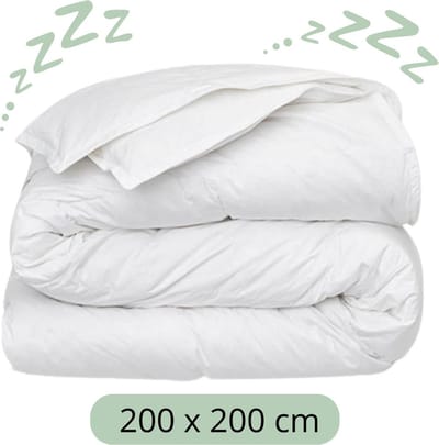 Sleeps 4 Seizoenen Dekbed 200x200 cm - Hotelkwaliteit - Anti-Allergie - Ademend - Microvezel - Tweepersoons
