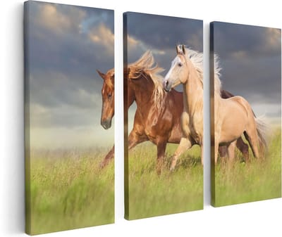 Artaza Canvas Schilderij Drieluik Bruin En Wit Paard In De Wei - 120x80 - Foto Op Canvas - Canvas Print