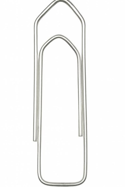 Spaceworx - Paperclips - 30 mm – 100 Stuks – Metaal Kantoorclips