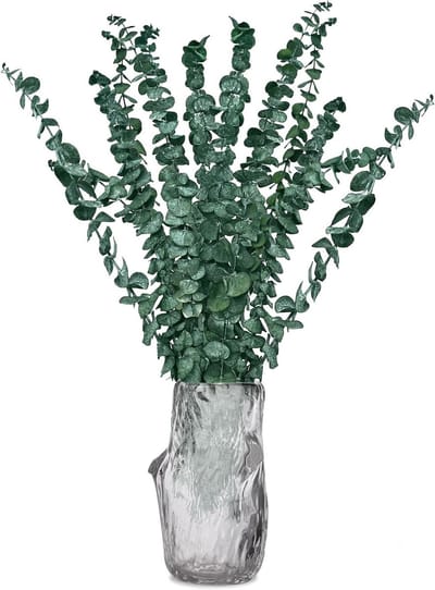 20 Stuks Gedroogde Eucalyptus Stelen voor Bruiloften, Bloemstukken en Huisdecoratie, Natuurlijke Planten voor Interieurstyling