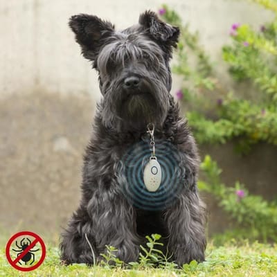 Répulsif Anti-nuisible à Ultrasons Rechargeables pour les Animaux de Compagnie PetRep InnovaGoods gris
