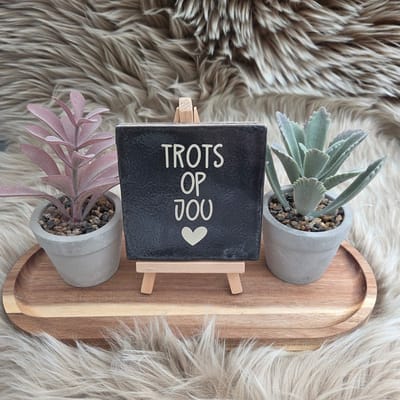 Robuust Wenstegeltje “Trots op Jou” – Lief Cadeautegeltje met Hartje – Trendy nu – Geslaagd – Vriend(in) – Familie – Gezin – Zomaar – Cadeau – Geslaagd – Decoratief Tegeltje met Standaard – Cadeau Idee