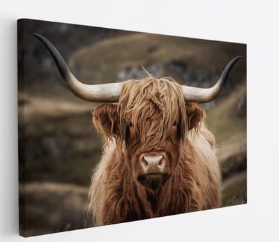 Saammp Canvas Schilderij - Schotse Hooglander Koe tussen de bomen - Winter - Landschap - Dieren - Natuur - 45x30 - Foto op canvas - Wanddecoratie - muurdecoratie Woonkamer - Slaapkamer decoratie - Canvas Print
