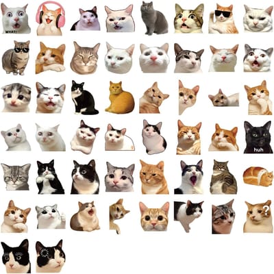 50/100PCS Autocollants Transparents en PET Chat Mignon Dessin Animé DIY Autocollants pour Ordinateur Portable Trottinette Papeterie Carnet Imperméables
