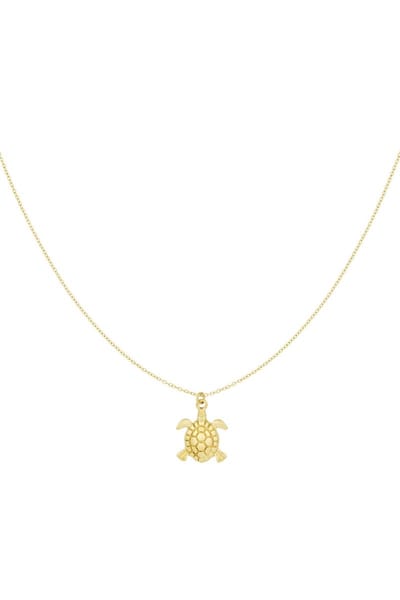 Bijoutheek Collier Schildpad Goud