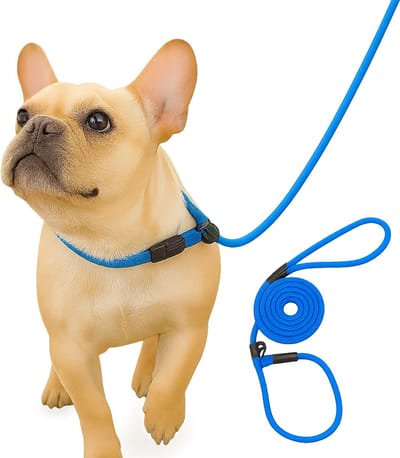 Sliplijn Met Stop I Hondenriem I 130 CM I Hondenriem I Nylon Trainingslijn I 130 CM I Blauw