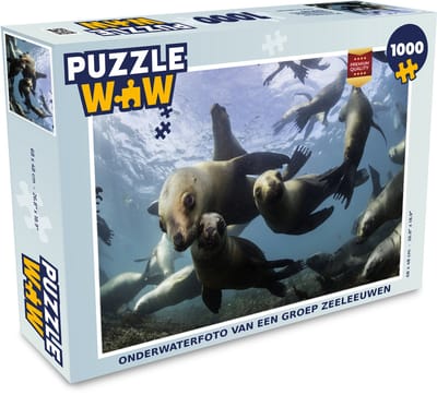 Puzzel Zeeleeuw - Water - Camera - Legpuzzel - Puzzel 1000 stukjes volwassenen