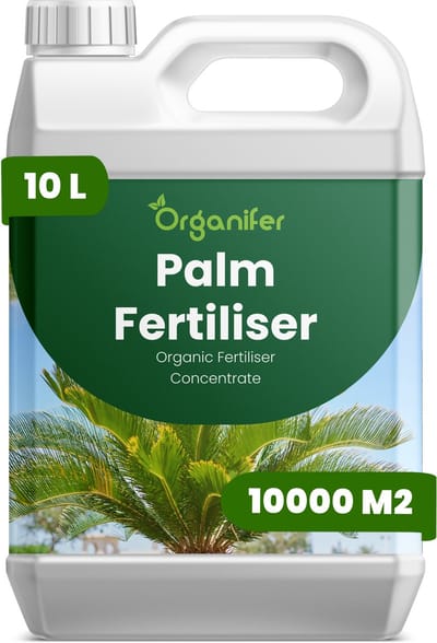 Vloeibare Meststof Voor Palm 10 L Voor 10000 M2 - Npk 2-1-8 - Versterkt Palmbladeren Met Verbeterde Kleur, Glans En Bladtextuur - Ondersteunt Opgaande, Sterke En Goed Gestructureerde Palmgroei - Verbetert De Langetermijnvitaliteit - Organifer