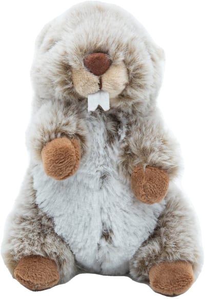 Cute since 1999 - Knuffel Marmot - Zittende Marmot speelgoed - Baby knuffel - 14cm