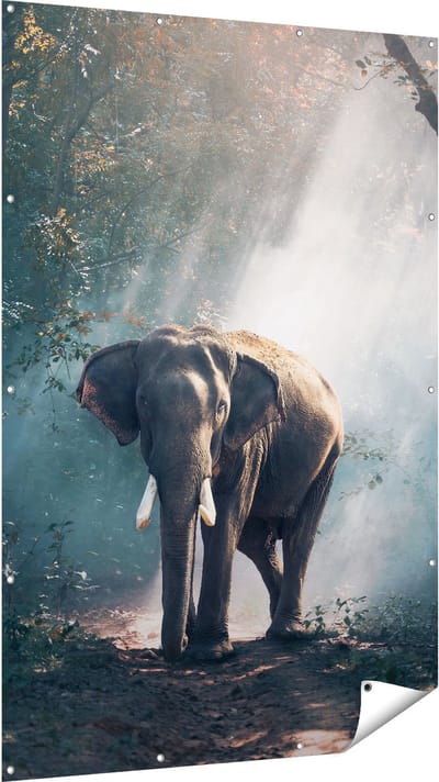 Gards Tuinposter Olifant in het Bos met Zonneschijn - 120x180 cm - Tuindoek - Tuindecoratie - Wanddecoratie buiten - Tuinschilderij