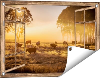 Gards Tuinposter Doorkijk Kudde Koeien in de Wei met Zonsopkomst - 60x40 cm - Tuindoek - Tuindecoratie - Wanddecoratie buiten - Tuinschilderij