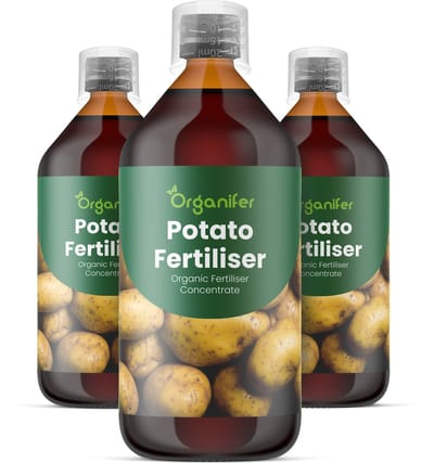 Vloeibare Meststof Voor Aardappel 3X1 L Voor 3000 L - Npk 3-4-3 - Ondersteunt Krachtige Vroege Groei En Uniforme Knolontwikkeling - Verbetert Wortelactiviteit En Efficiënte Knolaanleg - Verbetert Knolvastheid - Organifer
