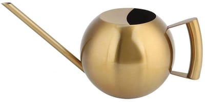 Dailygoods- Gieter 1 liter roestvrij staal - Gieter voor binnen - Gieter voor buiten - Gieter met lange mond - Gieter voor planten - Totale afmetingen 29 x 13 cm - Plantenbewateringssysteem