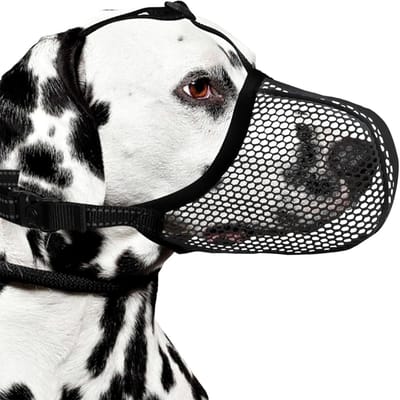 Hondenmuilkorf - Anti-blafkorf - Veiligheid Hond - Reflecterend Ontwerp - Maat M - Zwart