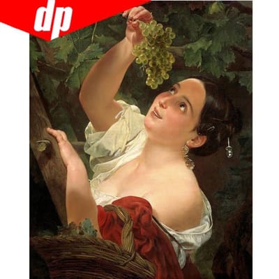 Peinture diamant thème raisin pour femmes, à faire soi-même, 5D, en cristal, point de croix, couture ronde complète 40X50