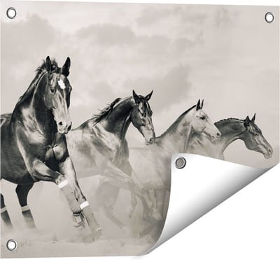 Gards Tuinposter Vier Paarden naast Elkaar - Zwart Wit - 50x40 cm - Tuindoek - Tuindecoratie - Wanddecoratie buiten - Tuinschilderij