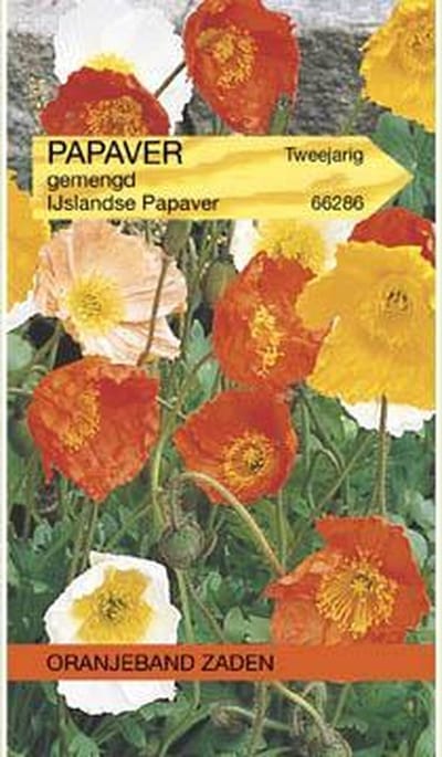 Papaver, IJslandse Klaproos gemengd