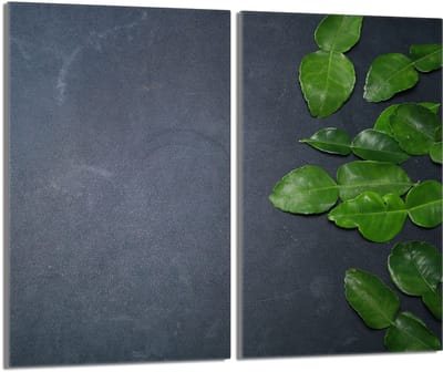 TMK ArtDeko - Beschermende Glazen Platen - 2x30x52 - Veilig voor Alle Soorten Kookplaten