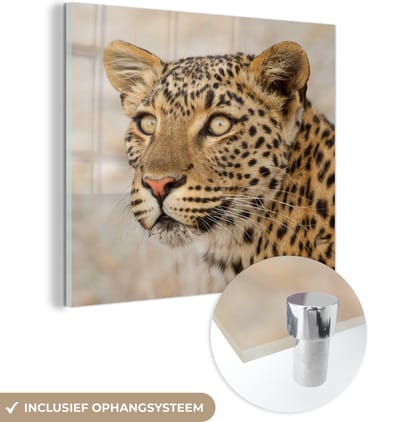MuchoWow® Glasschilderij 50x50 cm - Schilderij acrylglas - Luipaard - Macro - Bruin - Foto op glas - Schilderijen