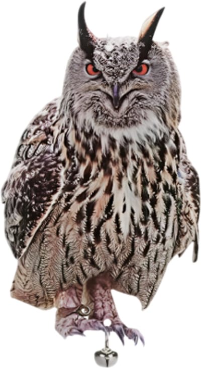 Lichte Kunstmatige Vogelverschrikker Hangende Decoratie – Uil – Nep Vogelafweermiddel en Vogelschrik voor Tuin, Balkon en Boomgaard – Effectieve Ongediertebestrijding tegen Duiven, Mussen en Andere Vogels