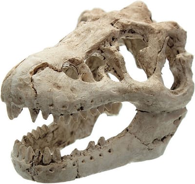 Schedel Ornament voor Aquarium – Dino Schedel Aquarium Decoratie – 8.5*5.5*4.5 cm