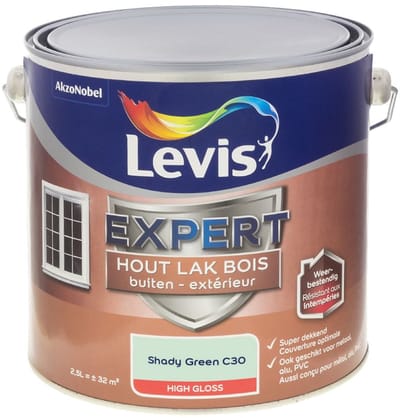 Levis - Expert Hout Lak Buiten High Gloss Mix - Shady Green C30 - Mengverf - 2,5 L