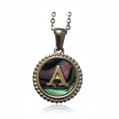 Aramat Jewels | Halskettingen | Unieke Stalen Initiaal Ketting met Abalone Schelp - Zilverkleur - 45cm | H | |15mm | Staal | Volwassenen | Verkleurd niet