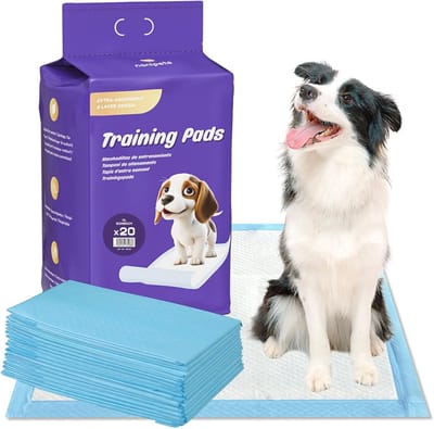 Superabsorberende Trainingspads voor Honden - Lekvrije Puppy Pads 60 x 90 cm