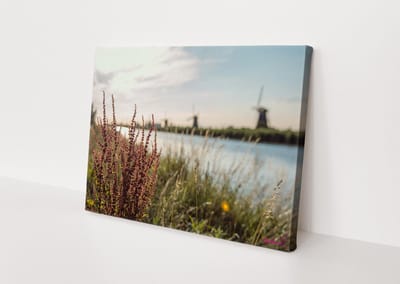 Canvasdoek - Schilderij - Molenkade Kinderdijk Plant Natuur Stichting By Amanda - Groen, Blauw En Rood - 40 X 60 Cm
